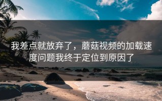 我差点就放弃了，蘑菇视频的加载速度问题我终于定位到原因了