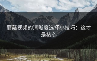 蘑菇视频的清晰度选择小技巧：这才是核心