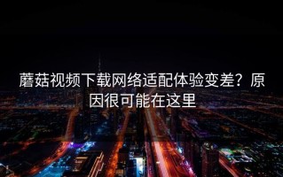 蘑菇视频下载网络适配体验变差？原因很可能在这里