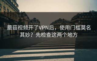 蘑菇视频开了VPN后，使用门槛莫名其妙？先检查这两个地方