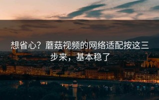想省心？蘑菇视频的网络适配按这三步来，基本稳了