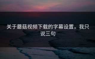 关于蘑菇视频下载的字幕设置，我只说三句