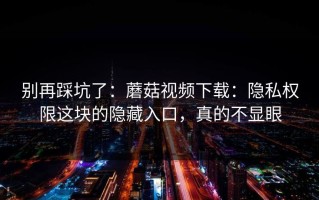 别再踩坑了：蘑菇视频下载：隐私权限这块的隐藏入口，真的不显眼