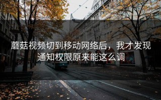 蘑菇视频切到移动网络后，我才发现通知权限原来能这么调