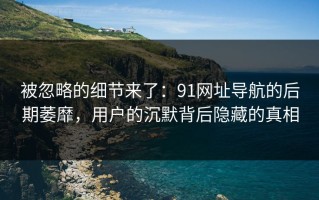 被忽略的细节来了：91网址导航的后期萎靡，用户的沉默背后隐藏的真相