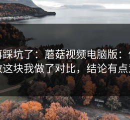 别再踩坑了：蘑菇视频电脑版：倍速播放这块我做了对比，结论有点意外