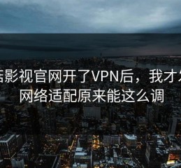 蘑菇影视官网开了VPN后，我才发现网络适配原来能这么调