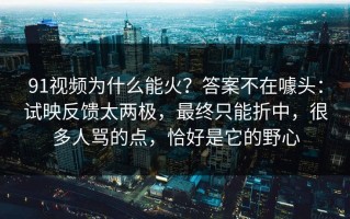 91视频为什么能火？答案不在噱头：试映反馈太两极，最终只能折中，很多人骂的点，恰好是它的野心
