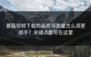 蘑菇视频下载的画质与流量怎么调更顺手？关键点都写在这里