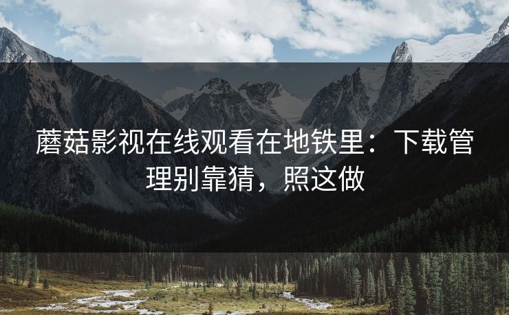 蘑菇影视在线观看在地铁里：下载管理别靠猜，照这做-第1张图片-蘑菇视频 - 海量短视频影视资源聚合