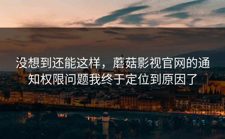 没想到还能这样，蘑菇影视官网的通知权限问题我终于定位到原因了