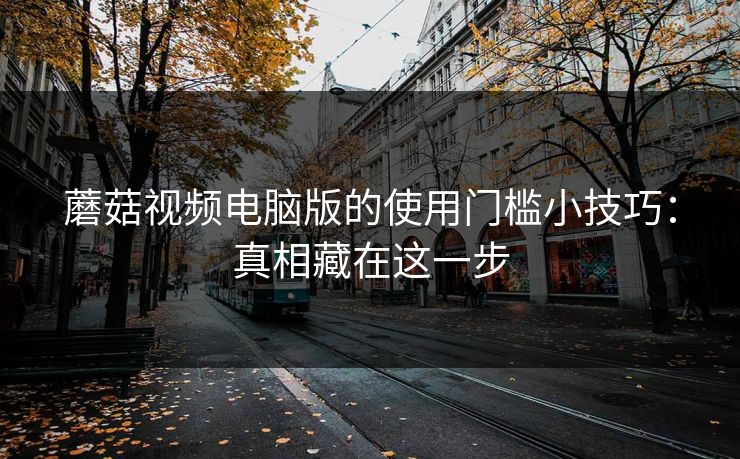 蘑菇视频电脑版的使用门槛小技巧：真相藏在这一步