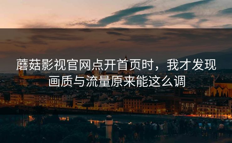 蘑菇影视官网点开首页时，我才发现画质与流量原来能这么调