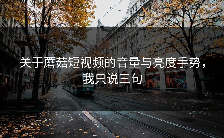 关于蘑菇短视频的音量与亮度手势，我只说三句-第1张图片-蘑菇视频 - 海量短视频影视资源聚合