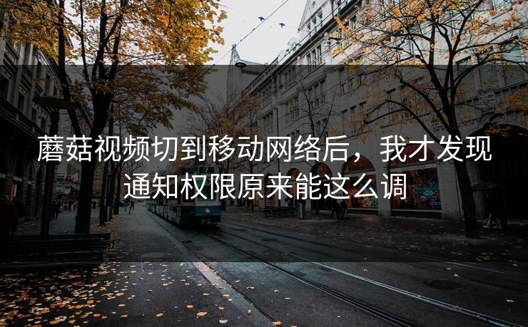 蘑菇视频切到移动网络后，我才发现通知权限原来能这么调-第1张图片-蘑菇视频 - 海量短视频影视资源聚合