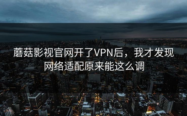 蘑菇影视官网开了VPN后，我才发现网络适配原来能这么调-第1张图片-蘑菇视频 - 海量短视频影视资源聚合