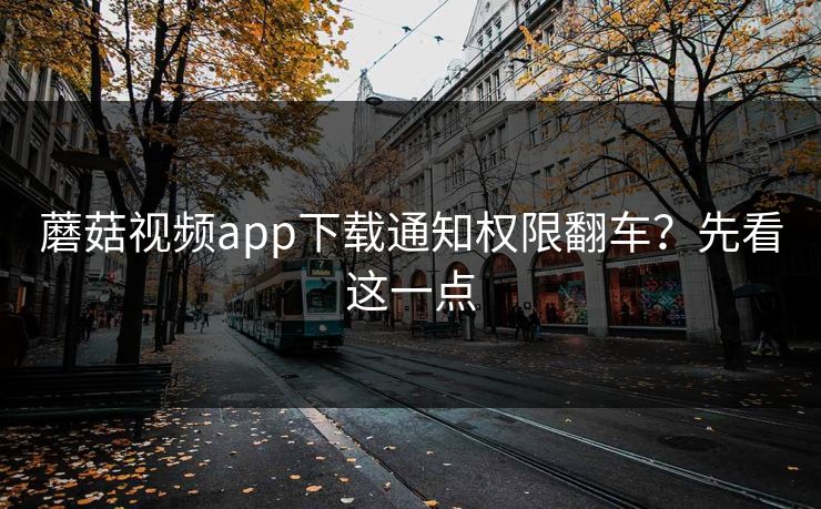 蘑菇视频app下载通知权限翻车?先看这一点 蘑菇视频app下载通知权限翻车?先看这一点