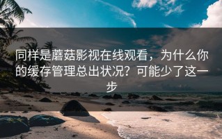 同样是蘑菇影视在线观看，为什么你的缓存管理总出状况？可能少了这一步