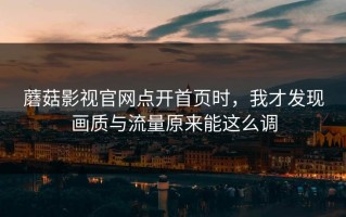 蘑菇影视官网点开首页时，我才发现画质与流量原来能这么调
