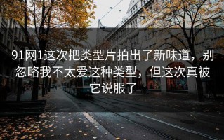 91网1这次把类型片拍出了新味道，别忽略我不太爱这种类型，但这次真被它说服了