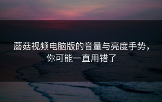 蘑菇视频电脑版的音量与亮度手势，你可能一直用错了