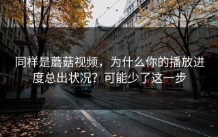 同样是蘑菇视频，为什么你的播放进度总出状况？可能少了这一步