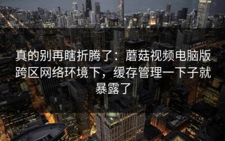 真的别再瞎折腾了：蘑菇视频电脑版跨区网络环境下，缓存管理一下子就暴露了