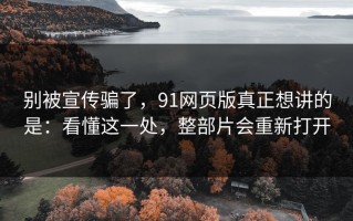 别被宣传骗了，91网页版真正想讲的是：看懂这一处，整部片会重新打开