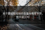 关于蘑菇短视频的音量与亮度手势，我只说三句