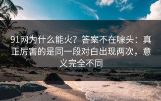 91网为什么能火？答案不在噱头：真正厉害的是同一段对白出现两次，意义完全不同