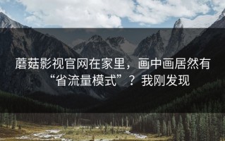 蘑菇影视官网在家里，画中画居然有“省流量模式”？我刚发现