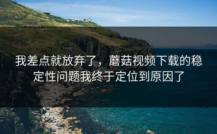 我差点就放弃了，蘑菇视频下载的稳定性问题我终于定位到原因了-第1张图片-蘑菇视频 - 海量短视频影视资源聚合