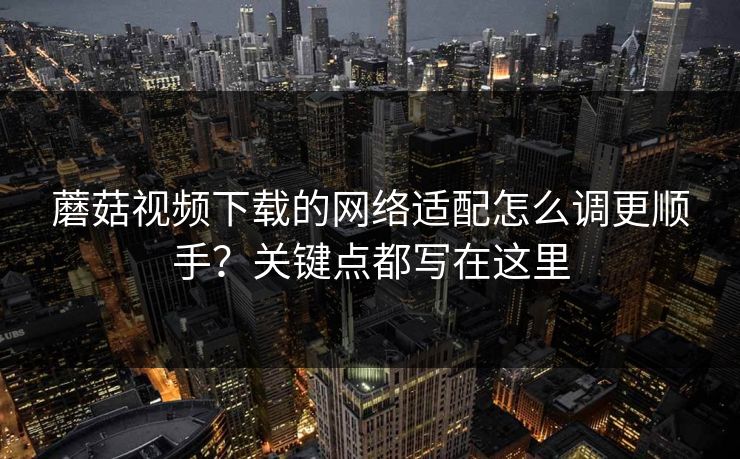 蘑菇视频下载的网络适配怎么调更顺手？关键点都写在这里
