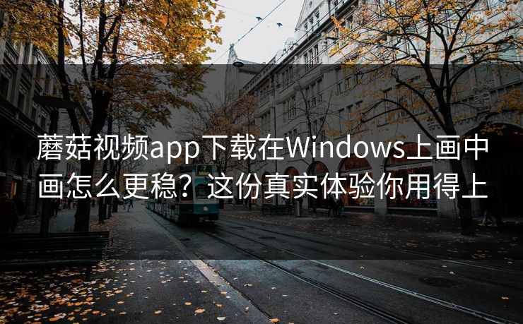 蘑菇视频app下载在Windows上画中画怎么更稳？这份真实体验你用得上