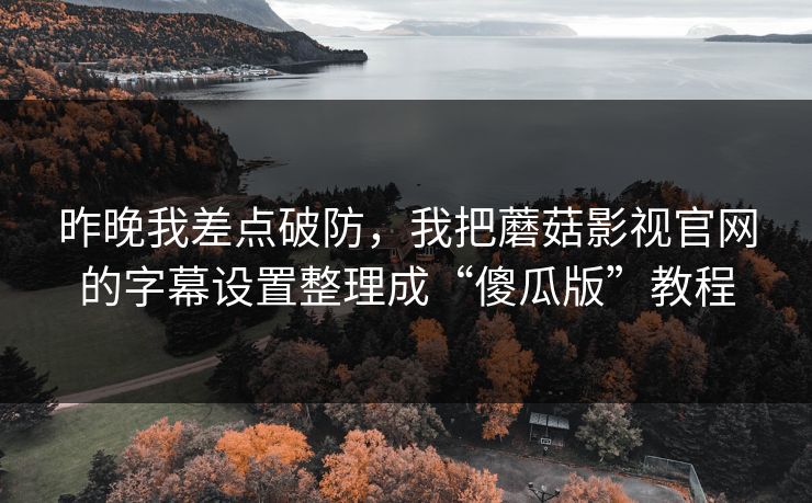 昨晚我差点破防，我把蘑菇影视官网的字幕设置整理成“傻瓜版”教程
