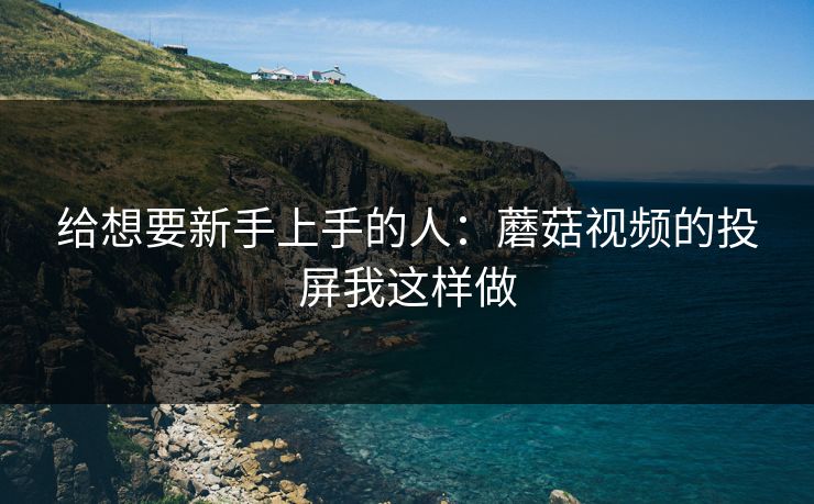 给想要新手上手的人：蘑菇视频的投屏我这样做