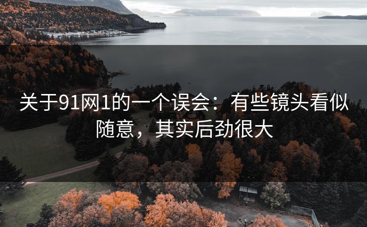 关于91网1的一个误会：有些镜头看似随意，其实后劲很大