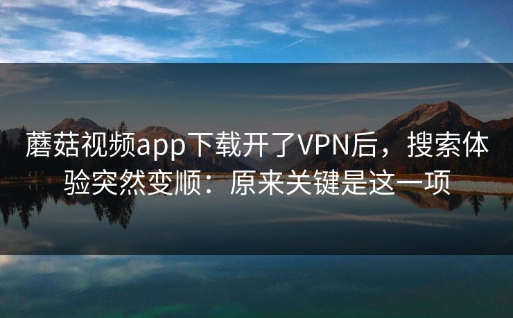 蘑菇视频app下载开了VPN后，搜索体验突然变顺：原来关键是这一项